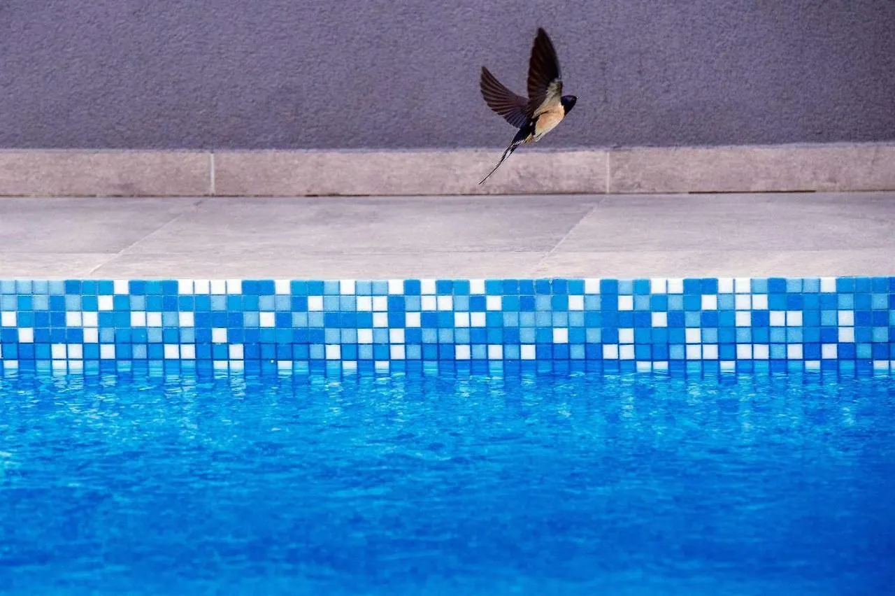 Villa Enna With Heated Pool, Zadar Crno