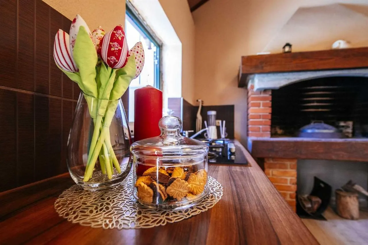 Villa Enna With Heated Pool, Zadar Crno